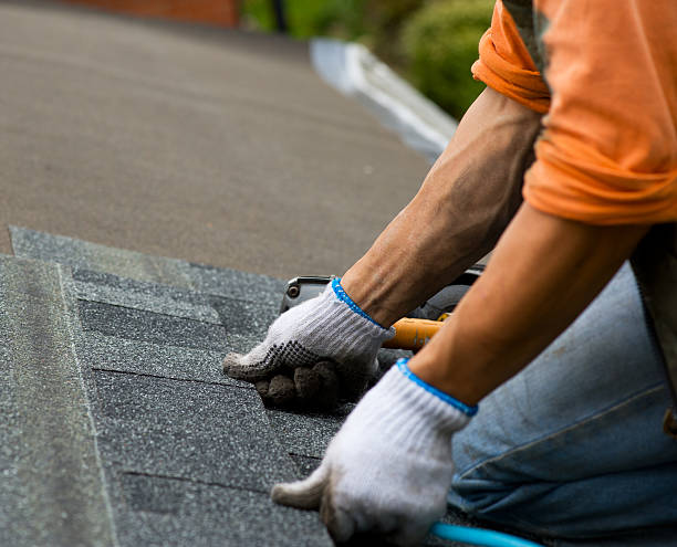 Roofing Excellence: Finding Your Trusted Contractor
